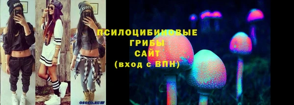 а пвп мука Бугульма