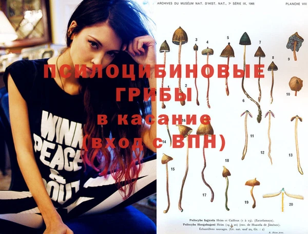 марки lsd Богородск