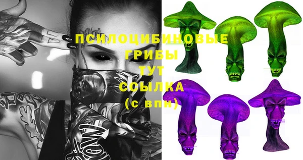 соль курить ск Богданович